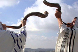 shofar sonidos entendiendo nmidigital