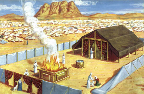 Parashat-Tzav cenizas