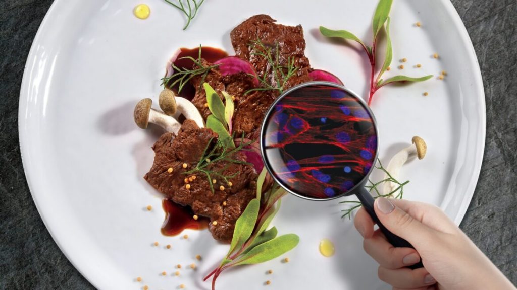 Aleph-Farms cultivada