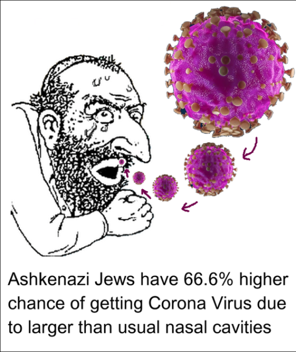 Asquenazíes-coronavirus-cst.org_.uk_ peste