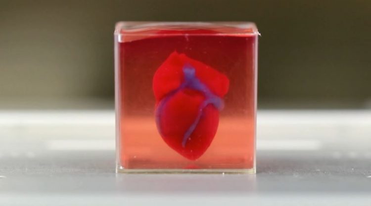 Corazón-3D-impreso tejidos