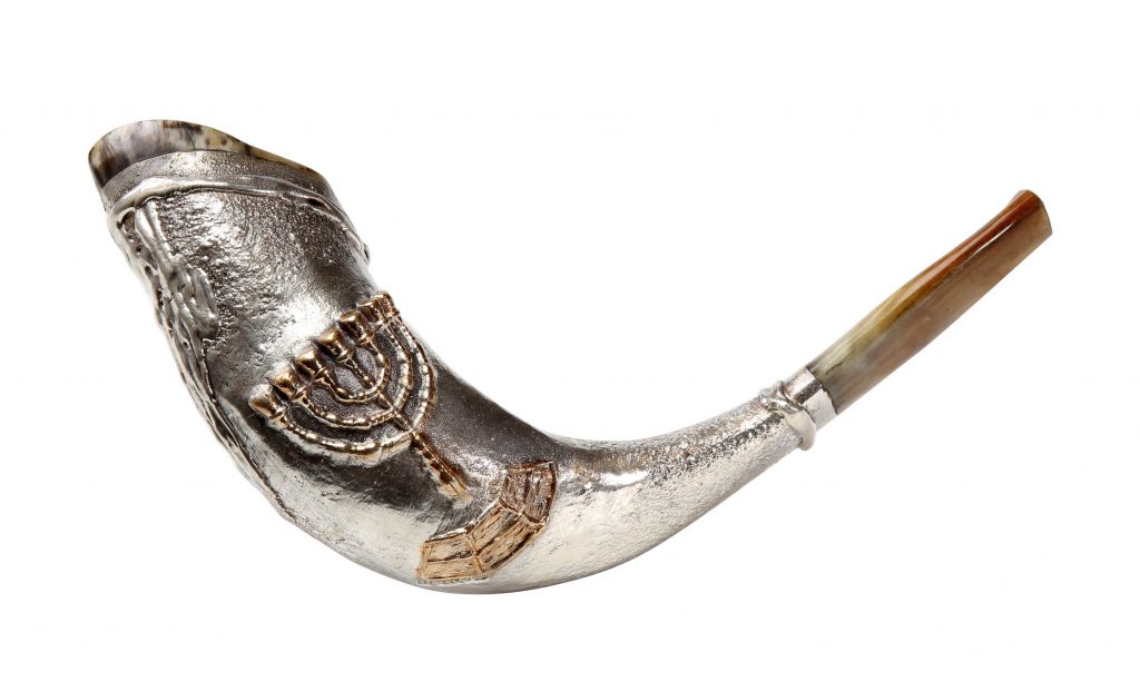 Shofar-4 vidas