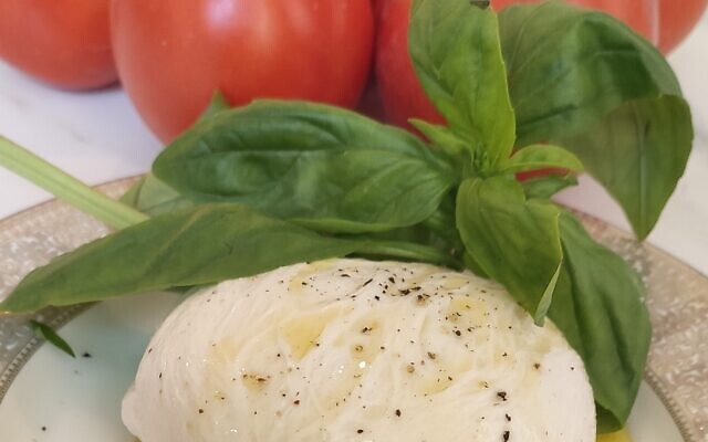 Querso-mozzarella-hecho-con-proteínas-de-Remilk vaca