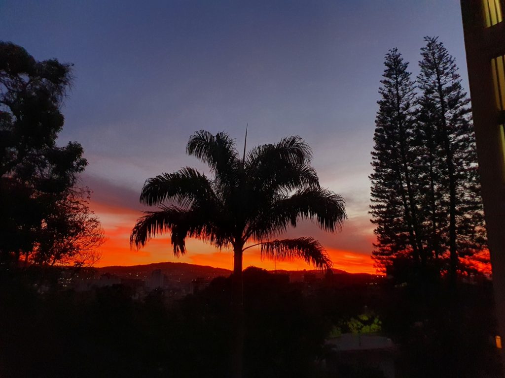 Mención-especial-Daniel-Nessim concurso