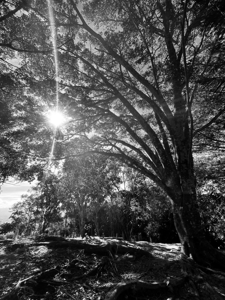 Mención-especial-Jacky-Cohen concurso