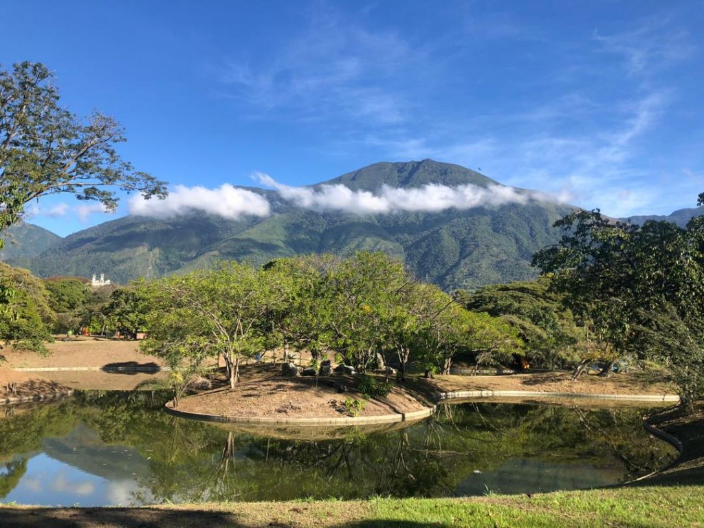 Mención-especial concurso