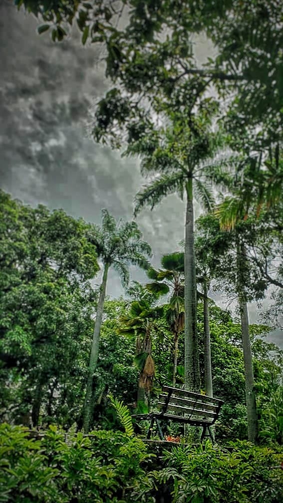 segundo premio concurso