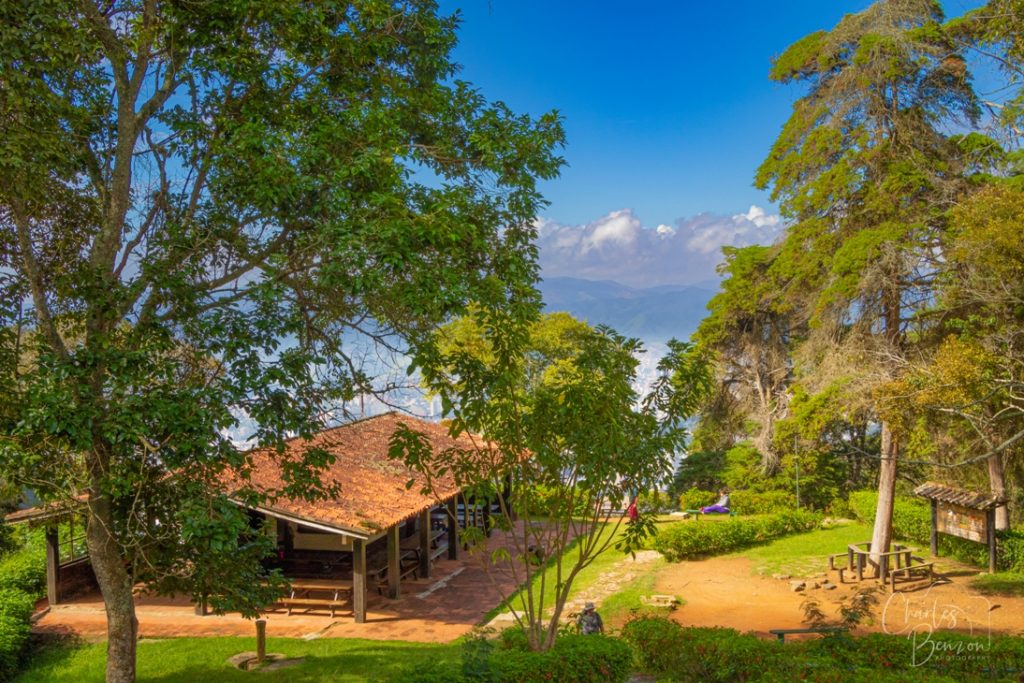 Tercer-premio-Charles-Benzazon concurso