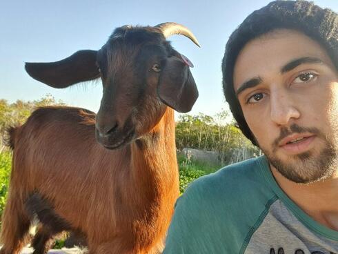 Tomer-Rosenfeld aplicación