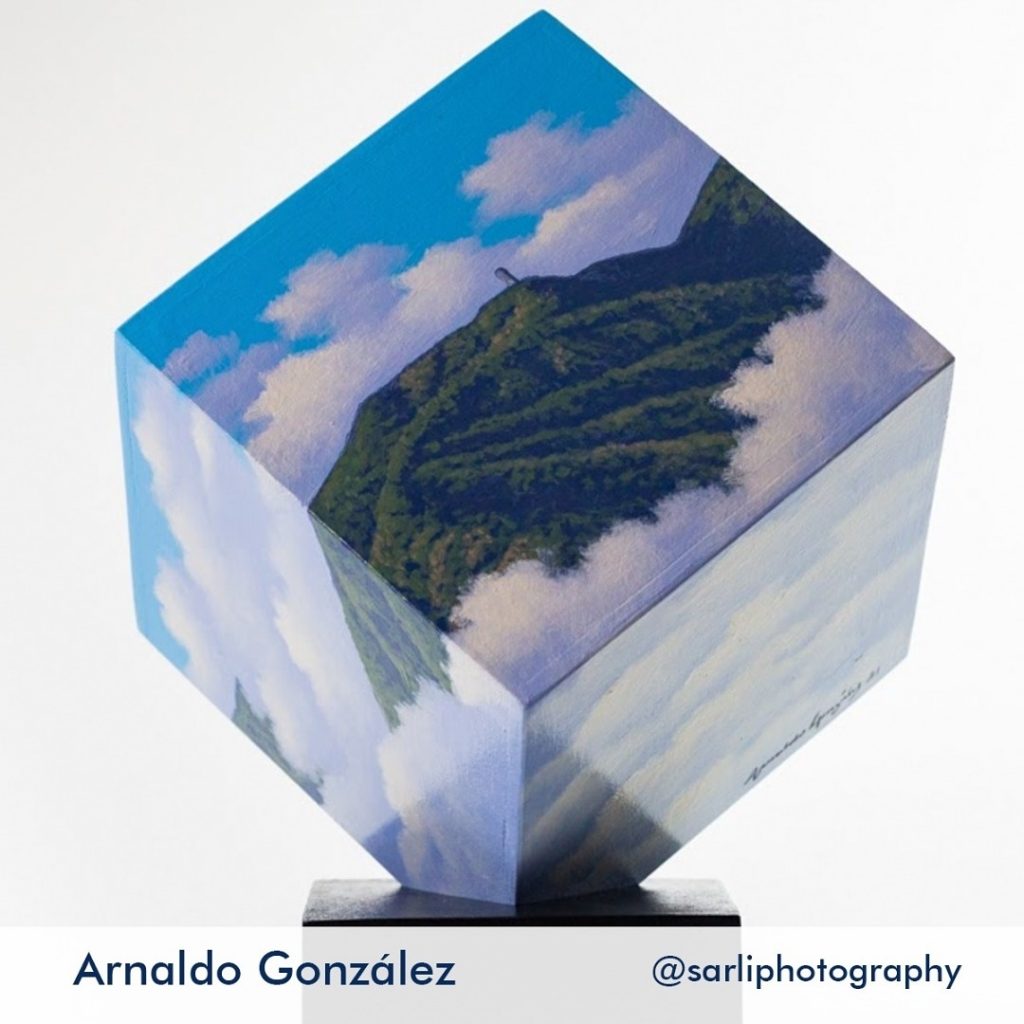 175537237_950678889026678_5475744351662288216_n subasta