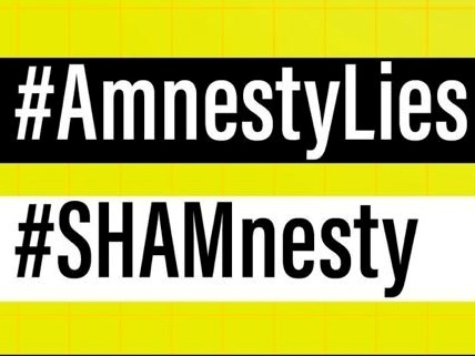 Shamnesty amnistía