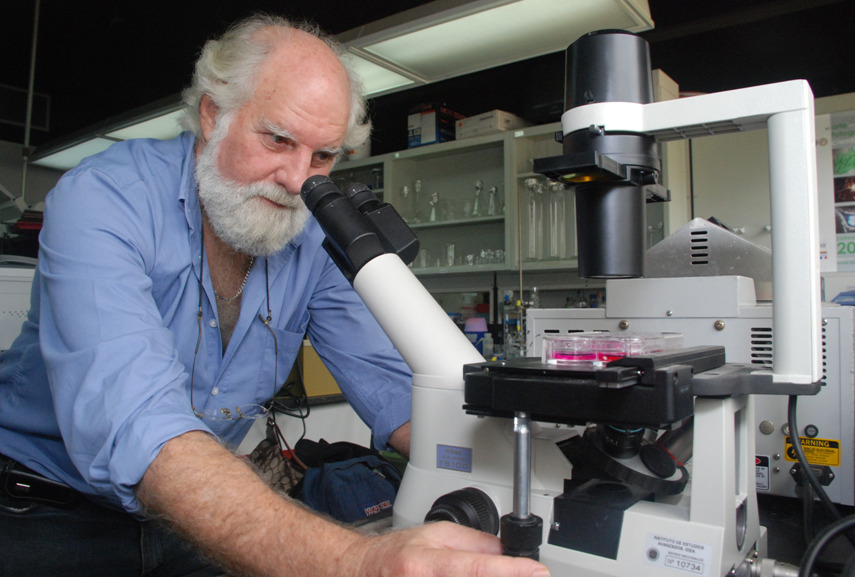 Gustavo-Benaim-al-microscopio enfermedades