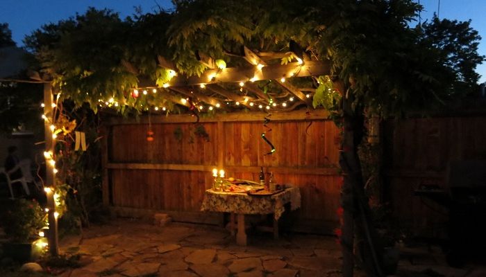 sucá-nocturna siempre