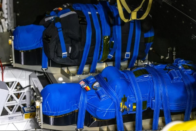 Zohar-y-Helga Artemis